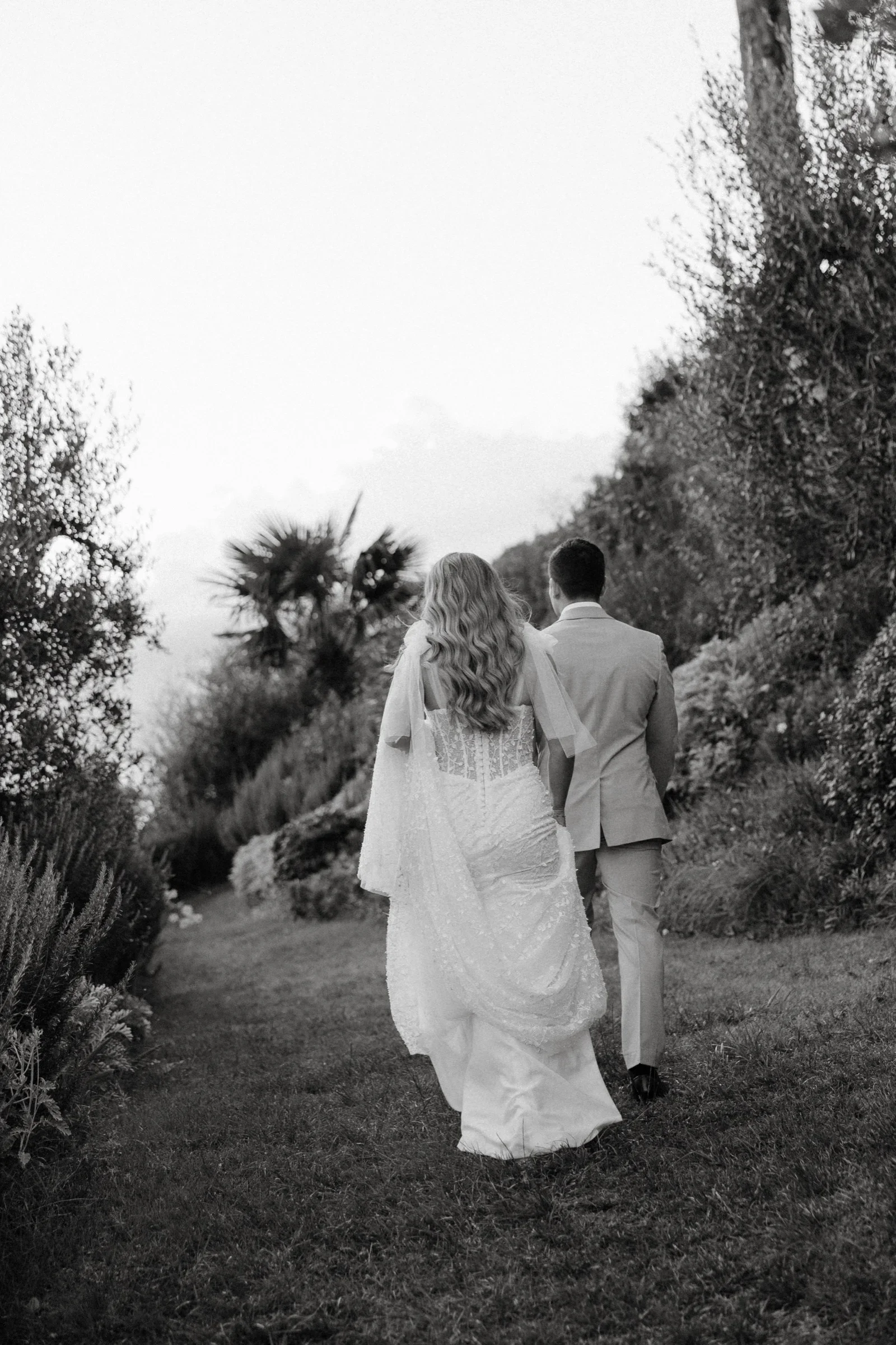 Black and white: the couple walking away down a path between olives and cypresses