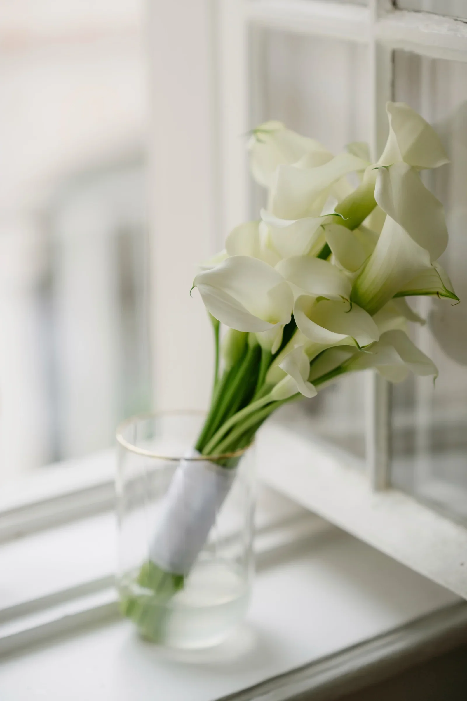 White calla lily bridal bouquet on a sunlit windowsill