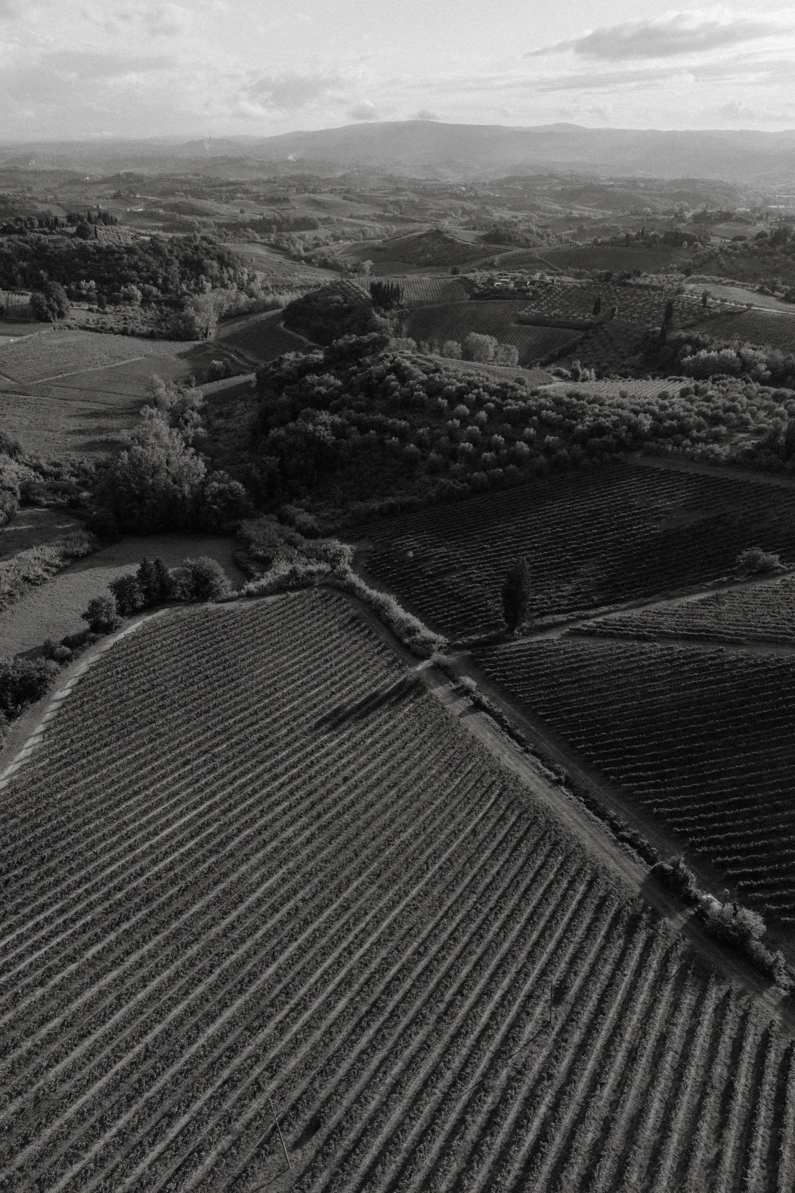 Black and white view across ploughed Tuscan fields and distant hill towns